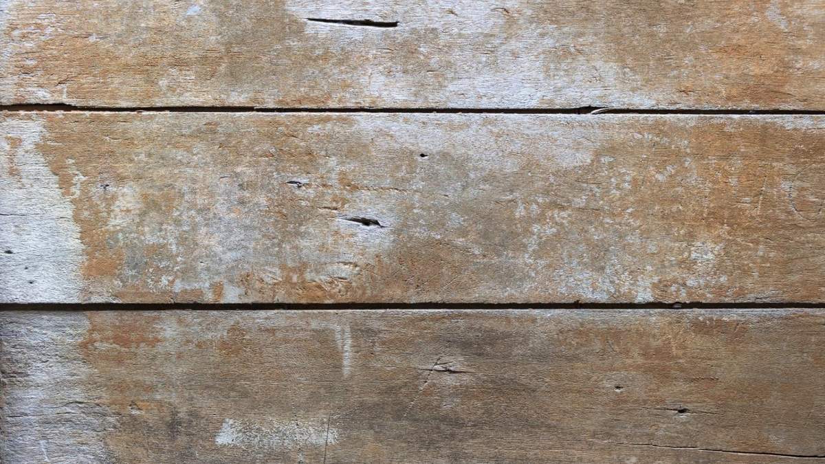 Madera. Fuente: (X)