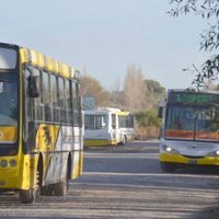 Autobuses Neuquén reanudó el servicio de transporte en la ciudad