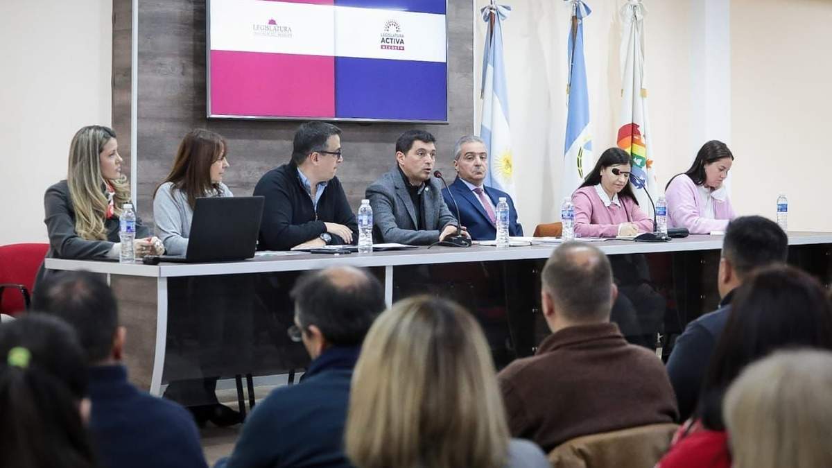 Koopmann adelantó que buscarán tener el mayor consenso para la reforma. Fuente (Twitter).