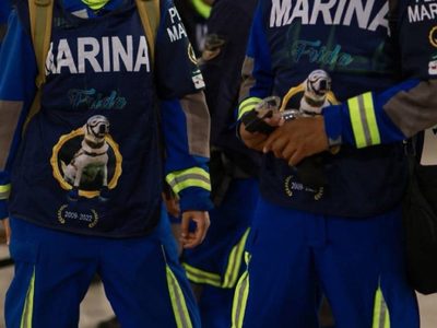 Rescatistas mexicanos viajan a Turquía con la playera de la perrita “Frida”