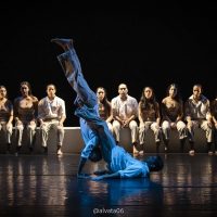 Día de la Danza: La XXVI Muestra "Tijuana Cuerpos en Tránsito" llega al Cecut