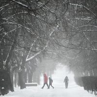 La nieve tapa a Moscú: la capital rusa registró la nevada más intensa en 72 años
