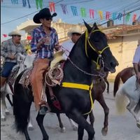 Balean y asesinan al padre del alcalde del municipio de Azoyú, Guerrero
