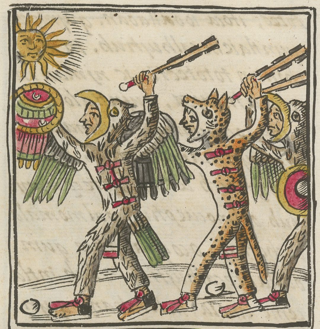 6-Warrior 