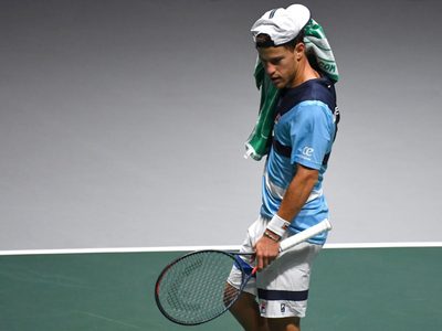 El tremendo enojo de Diego Schwartzman con un seguidor por el coronavirus