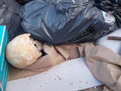 Macabro hallazgo causó alarma en Playa Grande de Mar del Plata