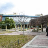 Según el gobierno, la adhesión al paro de ATEN en Neuquén es casi inexistente