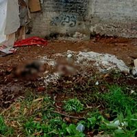 Hallan fosa clandestina con cinco cuerpos en Jacona