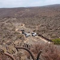 Confirman ocho cuerpos en fosa clandestina en Bahía de Los Ángeles, Baja California
