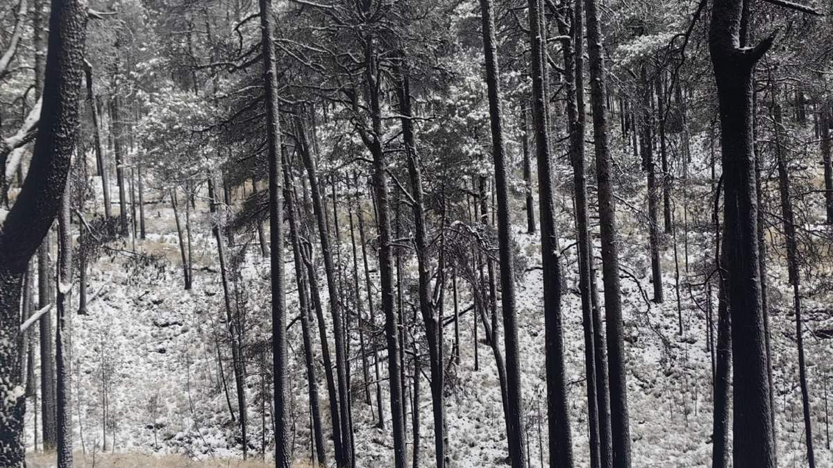 Nevada en el Izta Popo