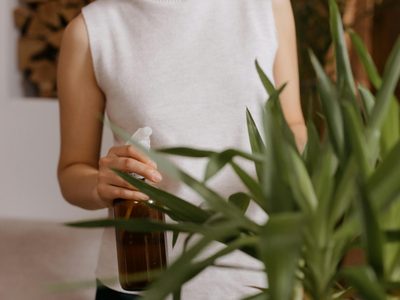 Caseros y naturales: tres fertilizantes líquidos para el jardín