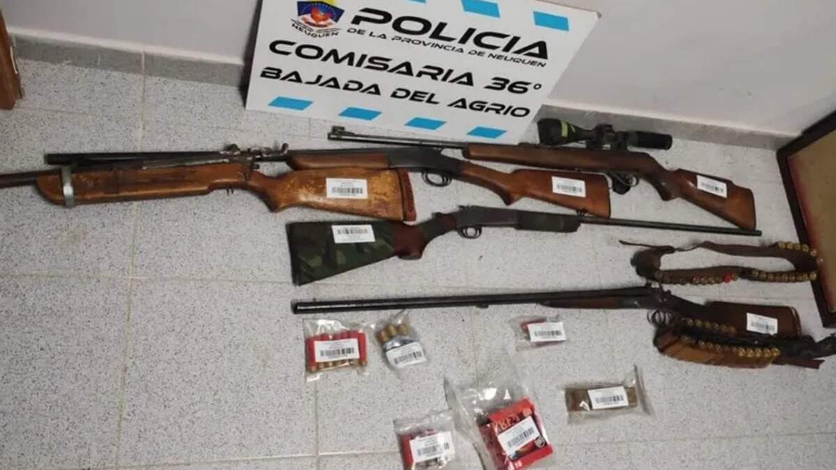 Armas secuestradas por la Policía. Fuente: (Policía de Neuquén).