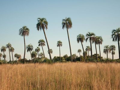 Reabre el Parque Nacional Mburucuyá⁣ y recibe al turismo con protocolos
