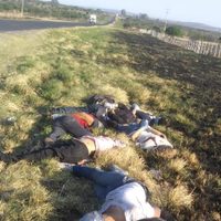 Hallan ejecutados a siete en los Altos de Jalisco