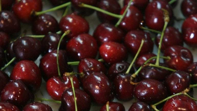 Exportación de cerezas en Neuquén. Fuente: (Twitter)
