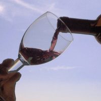 Vino de misa, de Mendoza a cada parroquia