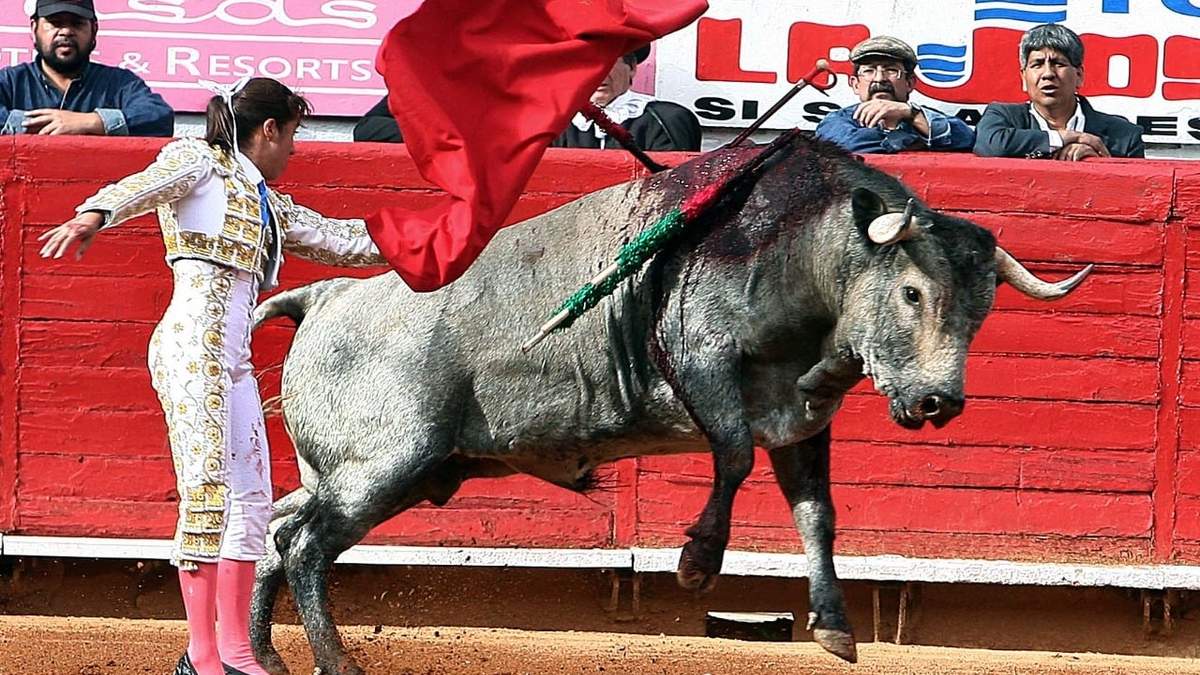 Corrida de toros en la Plaza México