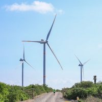 SENER anuncia inversión estratégica de 358.6 MDD en proyectos eléctricos para Tamaulipas