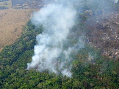 Por primera vez imputaron a una persona en Colombia por deforestación