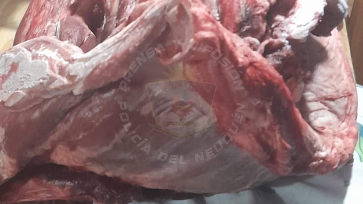 La Policía secuestró 70 kilos de carne clandestina. Fuente: (Policía de Neuquén)