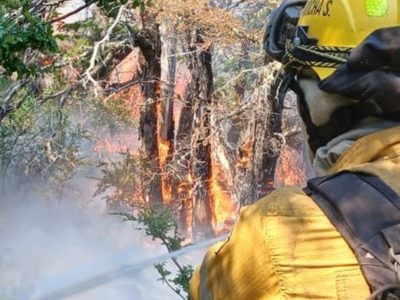 Continúa el incendio en el Valle Magdalena, 250 brigadistas combaten las llamas