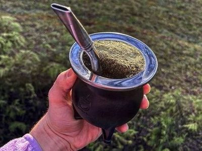La hierba que tenés que ponerle al mate después de un fin de semana de excesos: así podés cultivarla en casa