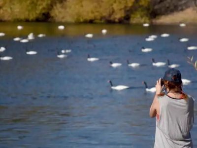 “Mirador de los Cisnes”: el nuevo espacio que tendrá el Paseo Costero sobre el río Neuquén