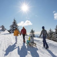 Neuquén: actividades para los más chicos en vacaciones