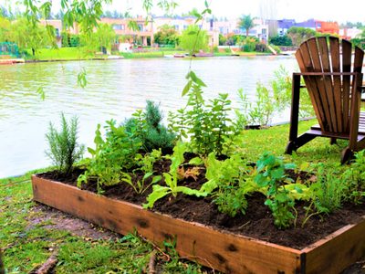 El espacio no es excusa: así podés optimizar tu jardín para tener una huerta repleta de plantas para cosechar