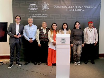 Exigen intervención de diputados en el caso del Museo Dolores Olmedo