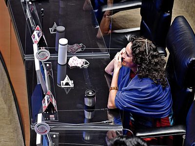 Susana Harp ante la ley de Protección del Patrimonio