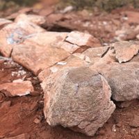 Hallaron el fémur de un dinosaurio gigante en Bardas de Añelo