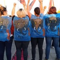 "Caravanazo provincial" en solidaridad con los autoconvocados de Salud