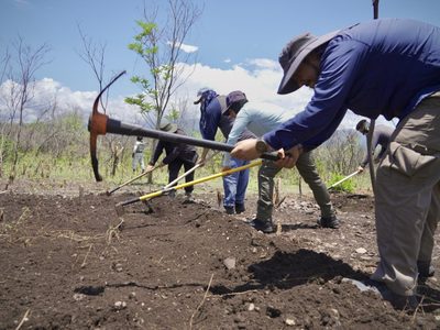 Ayotzinapa: Gobernación difunde imágenes de búsqueda en Iguala y Cocula
