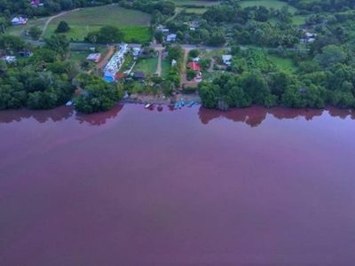 Exigen a la Profepa clausurar y sancionar proyecto turístico en la laguna de Manialtepec
