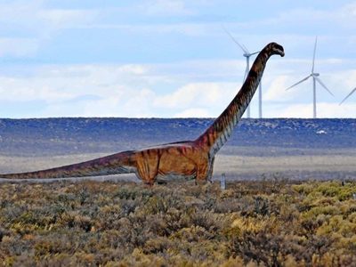 Increíble hallazgo en Neuquén: serían fósiles del dinosaurio más grande del planeta