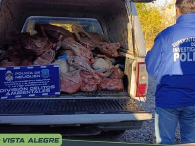 Descubrieron una carnicería ilegal en Vista Alegre: había carne en mal estado
