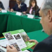 Gobierno capitalino sembrará 100 mil árboles en la avenida Chapultepec