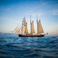 Permiten a velero danés atracar en Progreso, tres días después de navegar en altamar