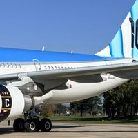 Aerolíneas Argentinas presentó un avión inspirado en la Selección