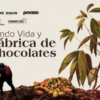 Sembrando vida y la fábrica de chocolates