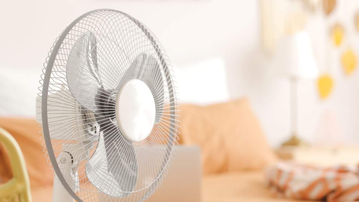 Verano. Fuente: (X)