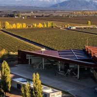 Las 15 bodegas mendocinas que conquistaron el top 50 de las mejores del mundo