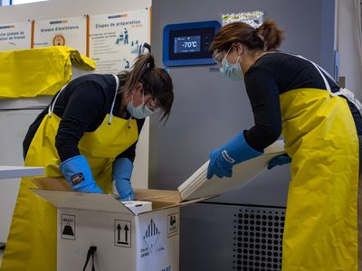 Otro país de América del Sur aprobó la vacuna de Pfizer y BioNTech