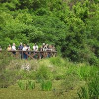 Turismo de naturaleza: viajes a las provincias para avistar aves
