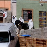 Tres niños y adolescentes fueron asesinados cada día en el primer trimestre de 2019: Redim