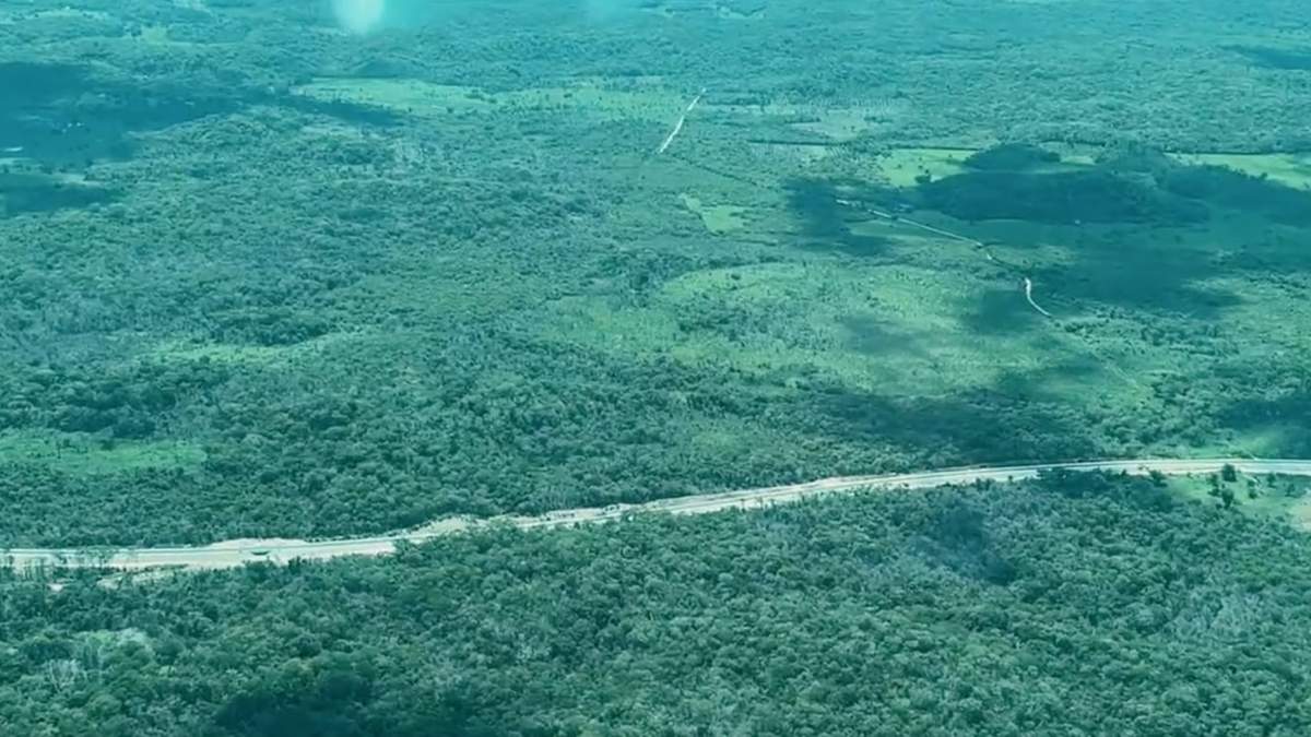 Sobrevuelo sobre el Tren Maya