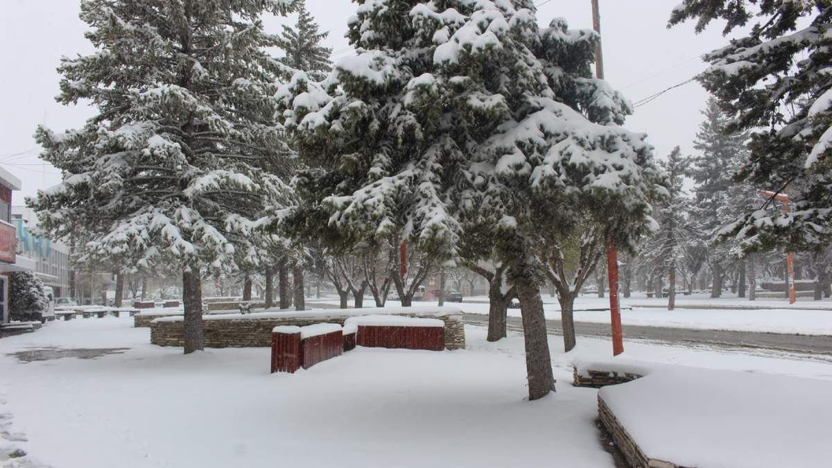 Nevada en el interior de Neuquén. Fuente: (Twitter)