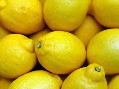 No lo vas a creer: el truco más efectivo para cosechar y guardar los limones si querés que duren más tiempo