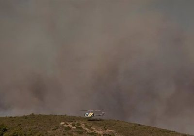 Bomberos de Grecia combaten el gran incendio registrado en el parque nacional de Dadia